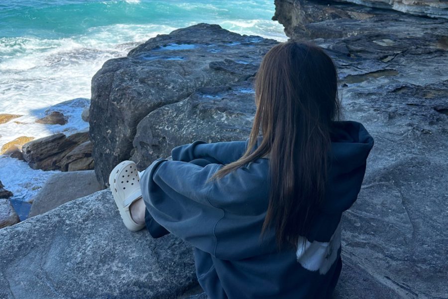 【周末旅行】近郊北部曼丽海滩Manly Beach小红书网红景点，海岸虫洞沙滩打卡