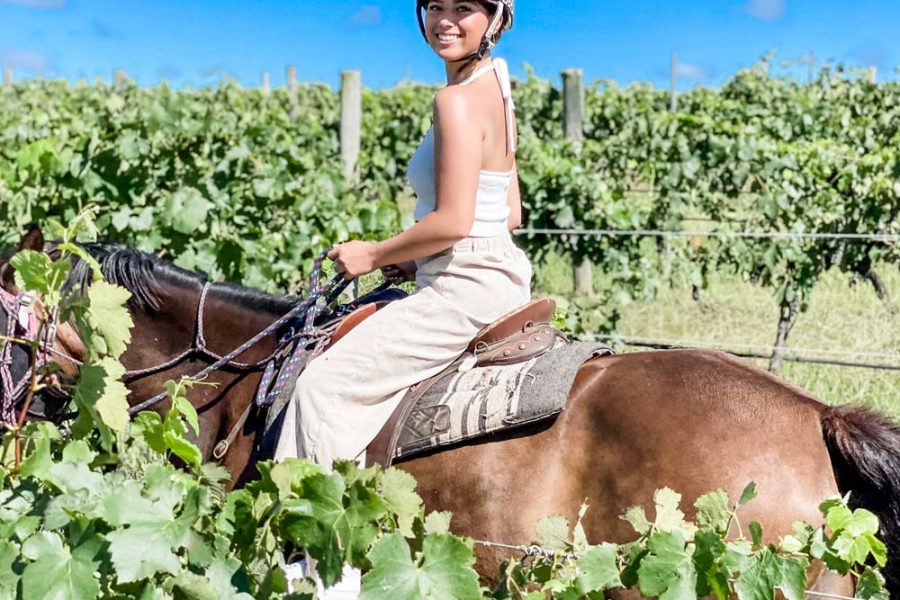 悉尼猎人谷葡萄园丛林骑马体验Hunter Valley Horse Ride