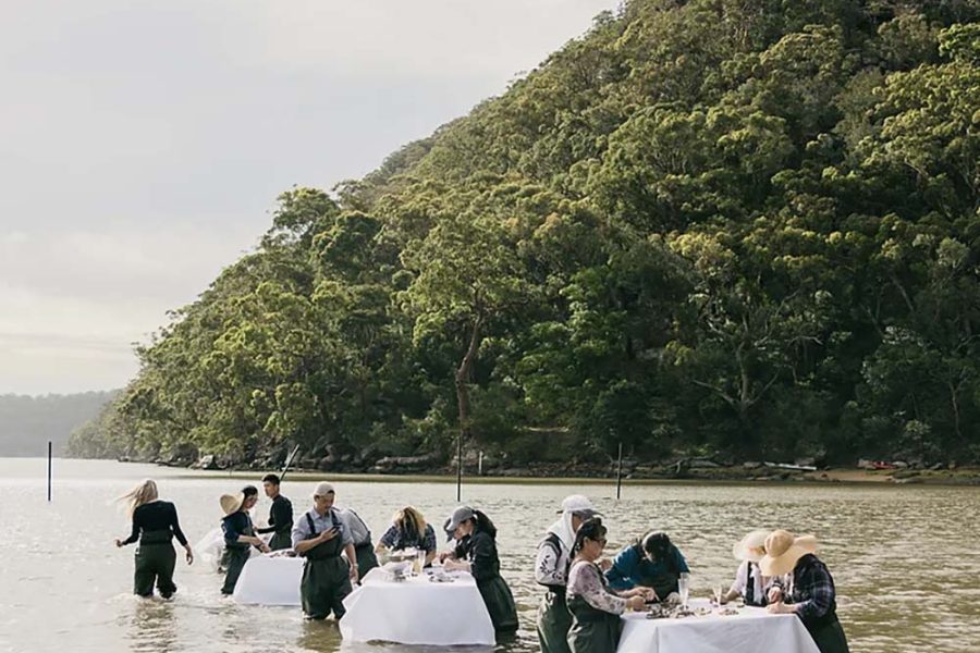 悉尼生蚝农场体验之旅Sydney Oyster Farm Tours