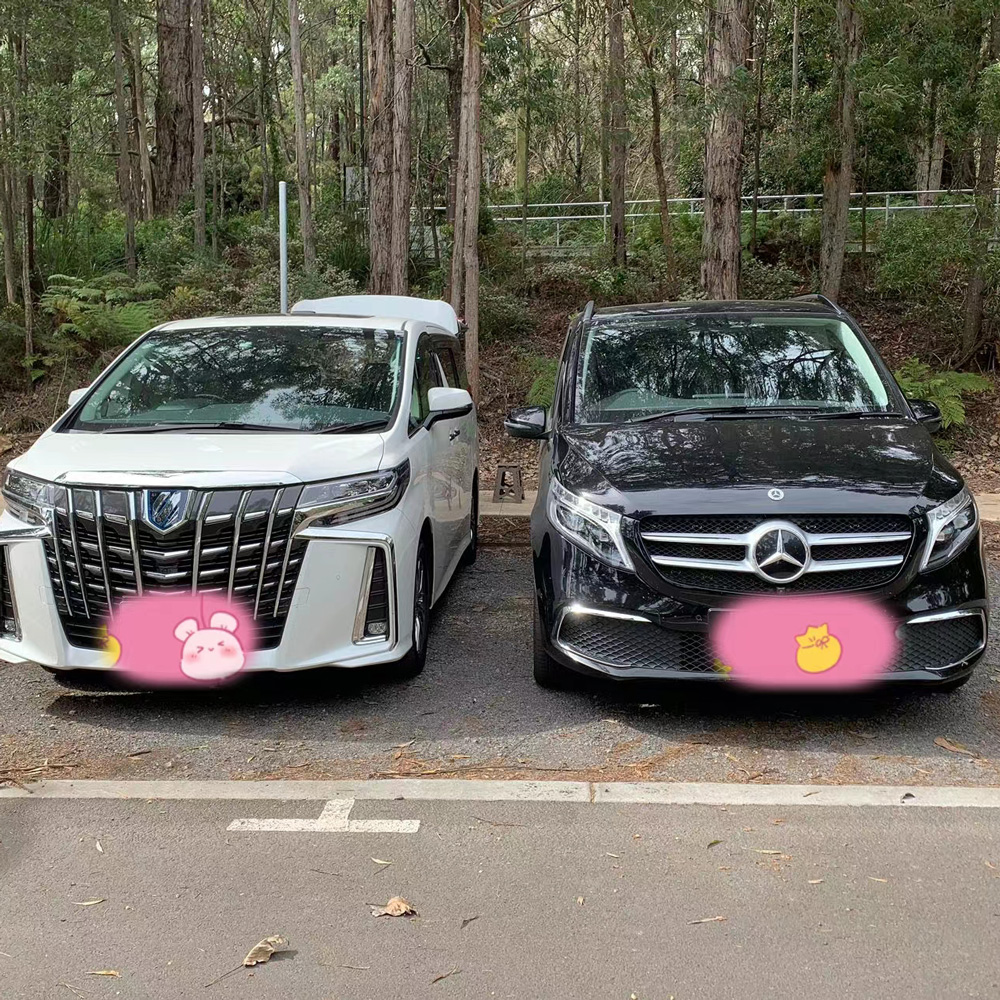 【Melbourne墨尔本包车】7座商务丰田埃尔法Toyota Alphard中文司导包车游玩