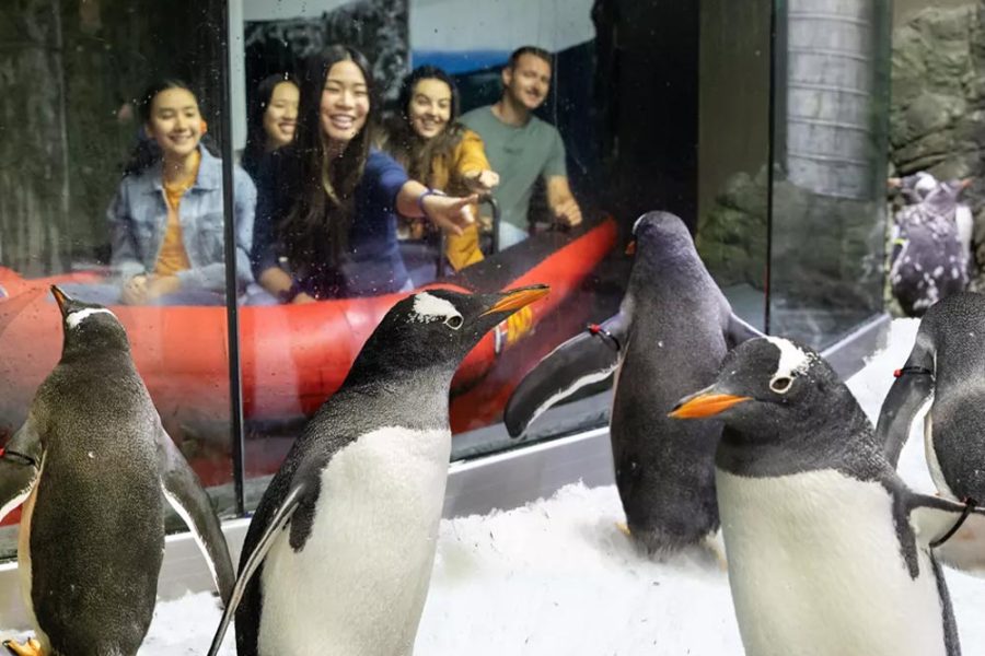 悉尼海洋生物水族馆门票SEA LIFE Sydney Aquarium