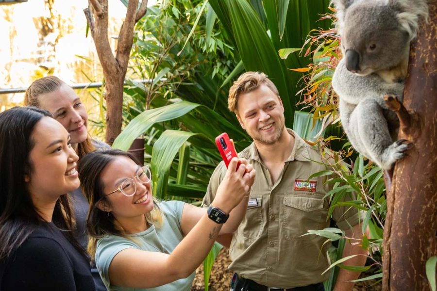 悉尼市中心野生动物园门票WILD LIFE Sydney Zoo